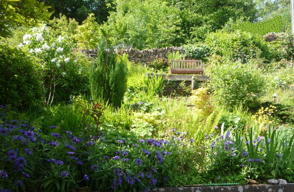 The Great Grubb Bed & Breakfast Totnes Bagian luar foto