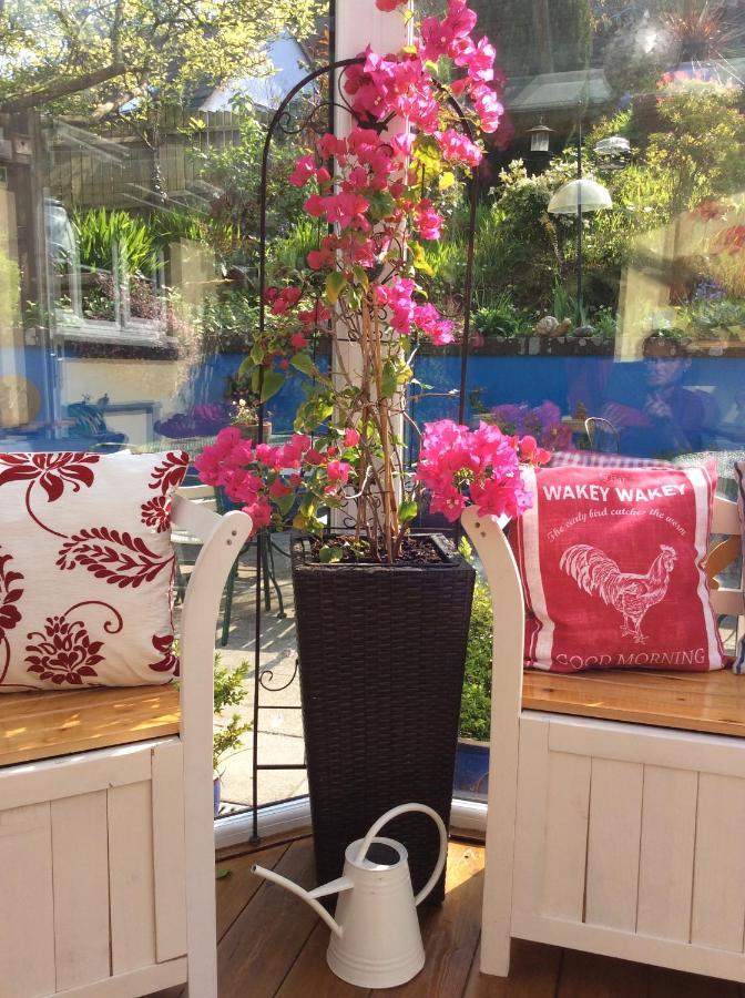 The Great Grubb Bed & Breakfast Totnes Bagian luar foto